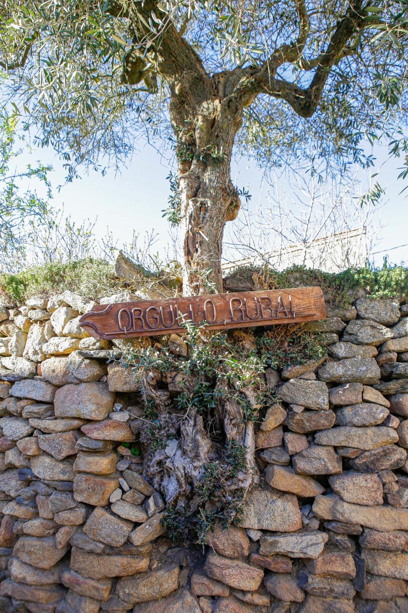 Casa Rural Therma Agreste Bermellar Εξωτερικό φωτογραφία